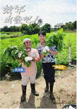 菊花影院 - 明星大侦探